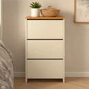 Sapateira Organizadora Multiuso 3 Portas